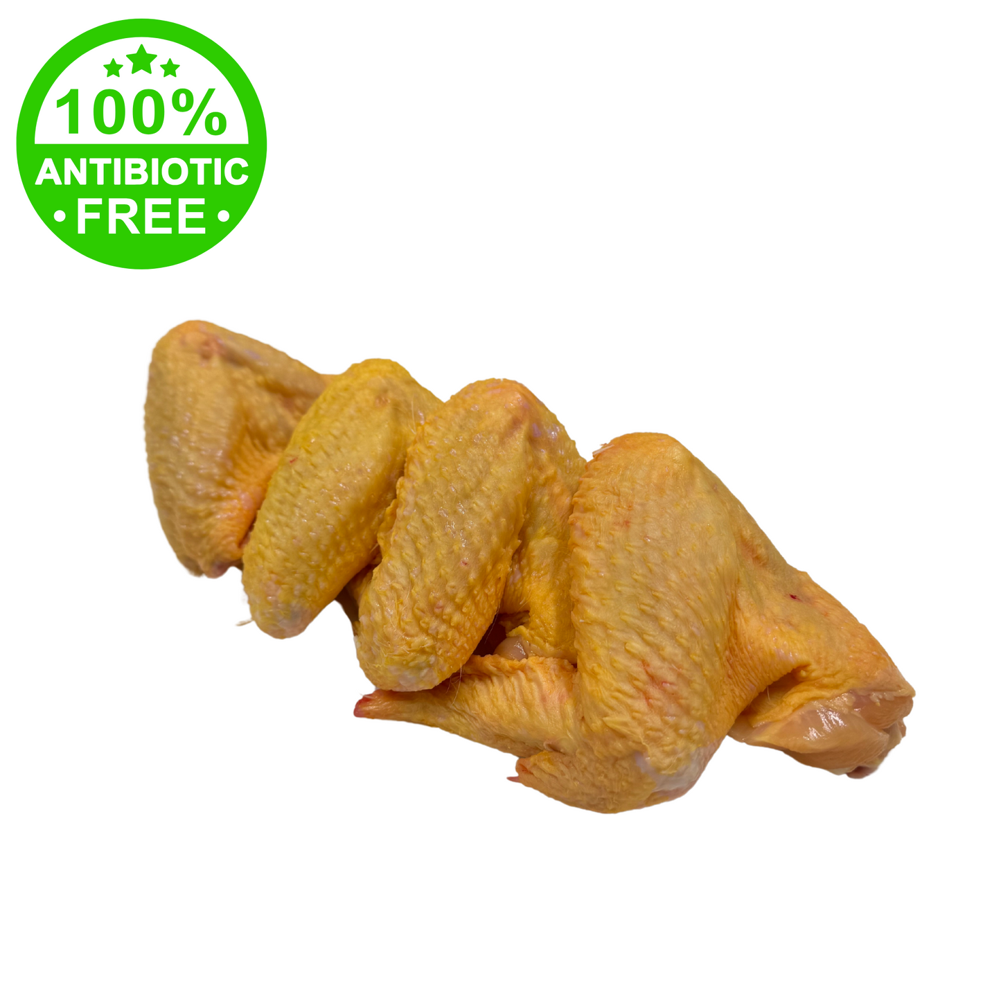 ALETTE DI POLLO