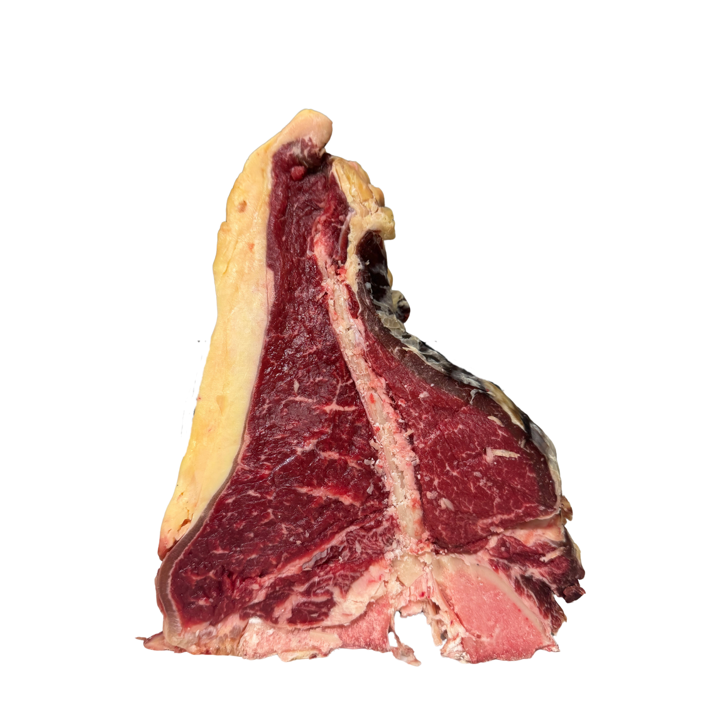 FIORENTINA BLACK DANMARK