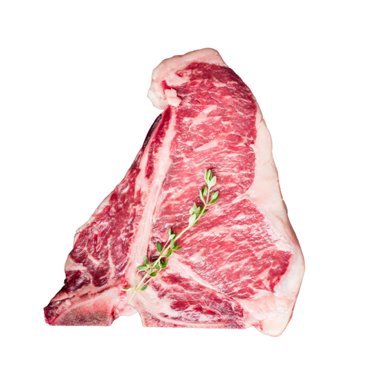 FIORENTINA DI SCOTTONA PRUSSIANA