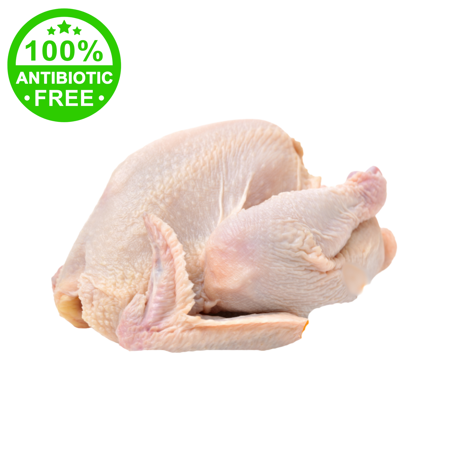 GALLINA PADOVANA ALLEVATA A TERRA