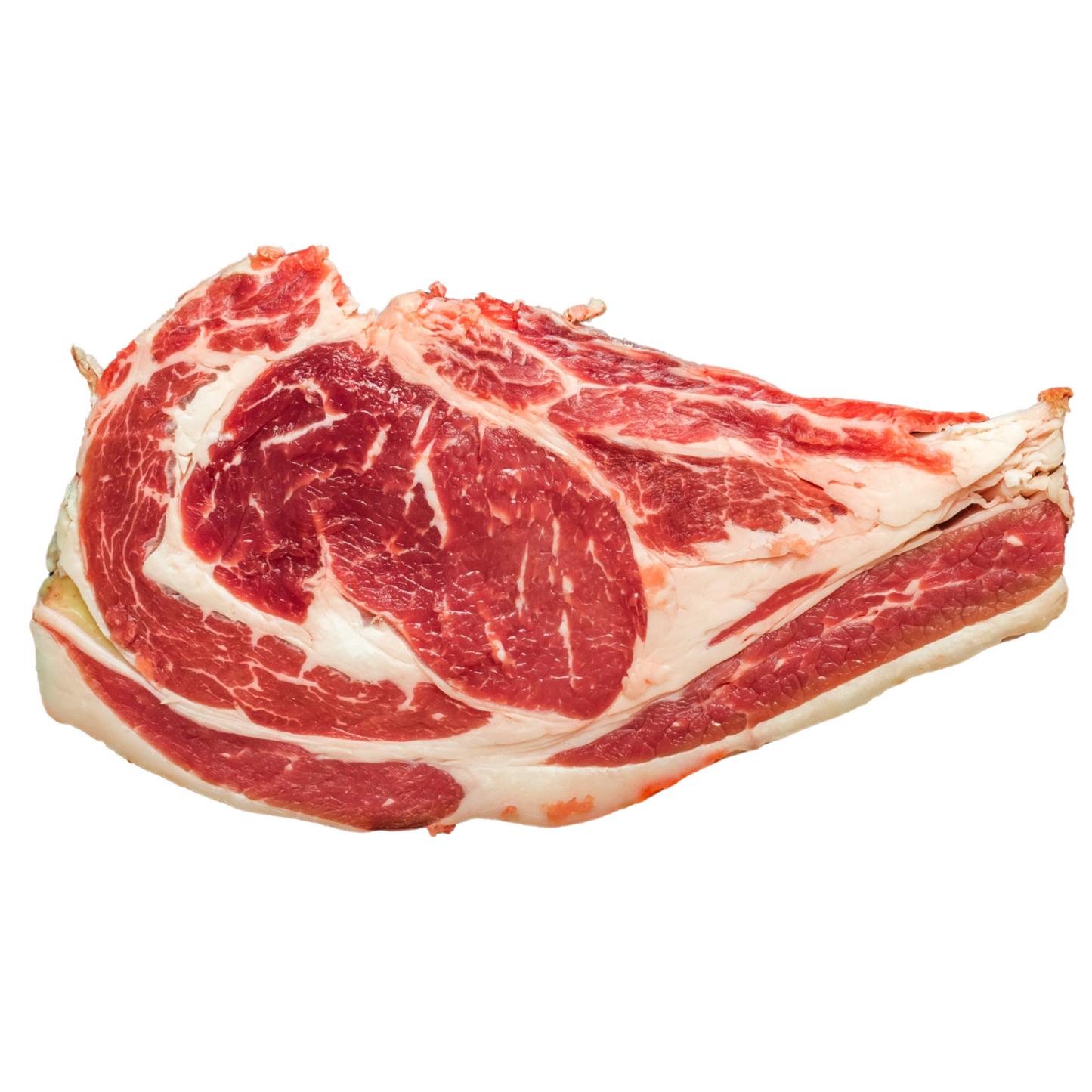 ENTRECOTE DI SCOTTONA