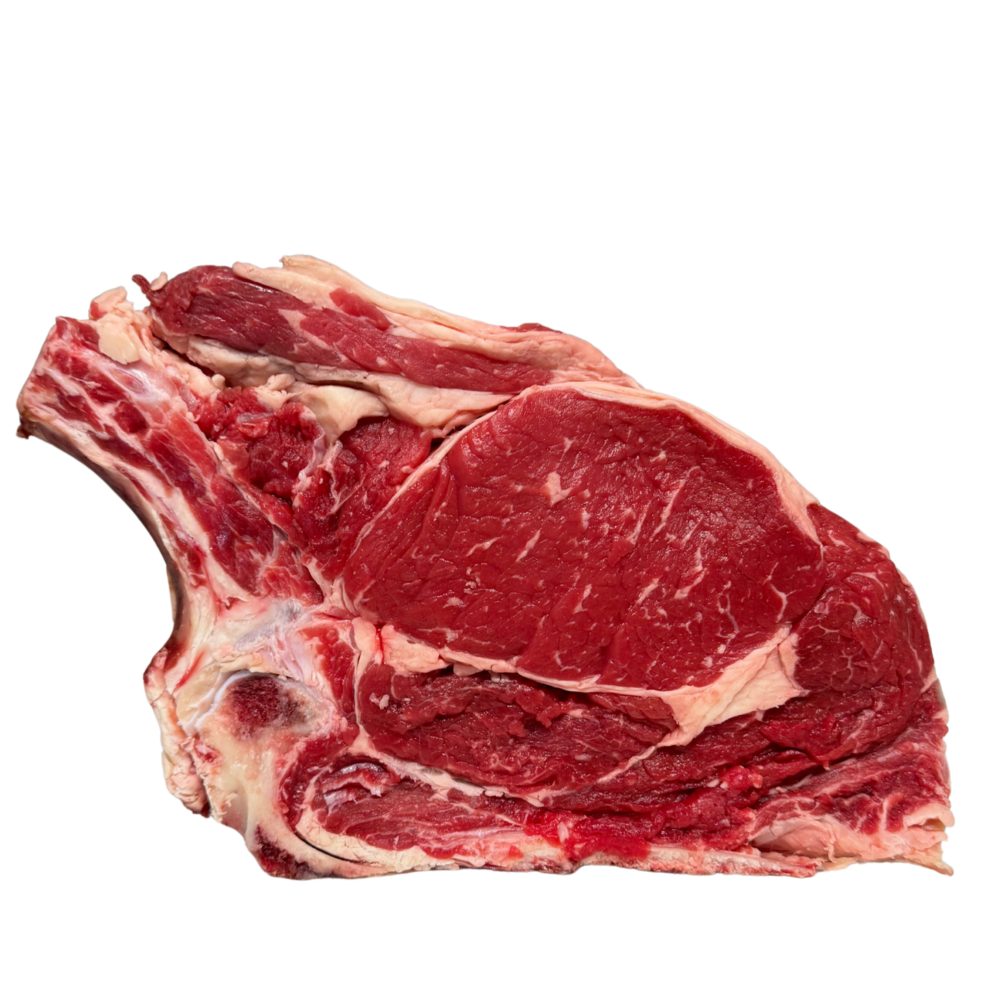 COSTATA ANGUS HEREFORD IRLANDA