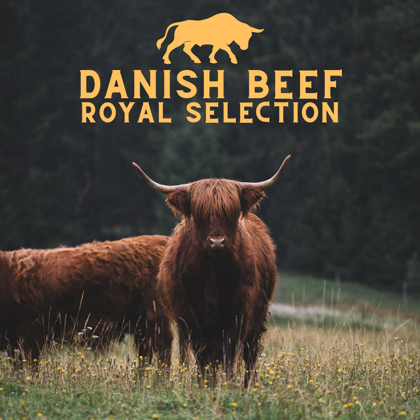 DANISH BEEF ROYAL SELECTION