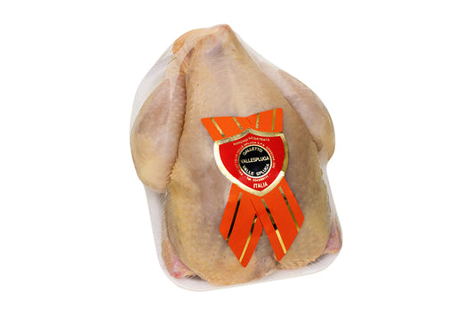 GALLETTO VALLESPLUGA