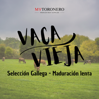 VACA VIEJA – SELECCIÓN GALLEGA - 100 GG DRY AGED